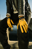 Motorcycle Gloves