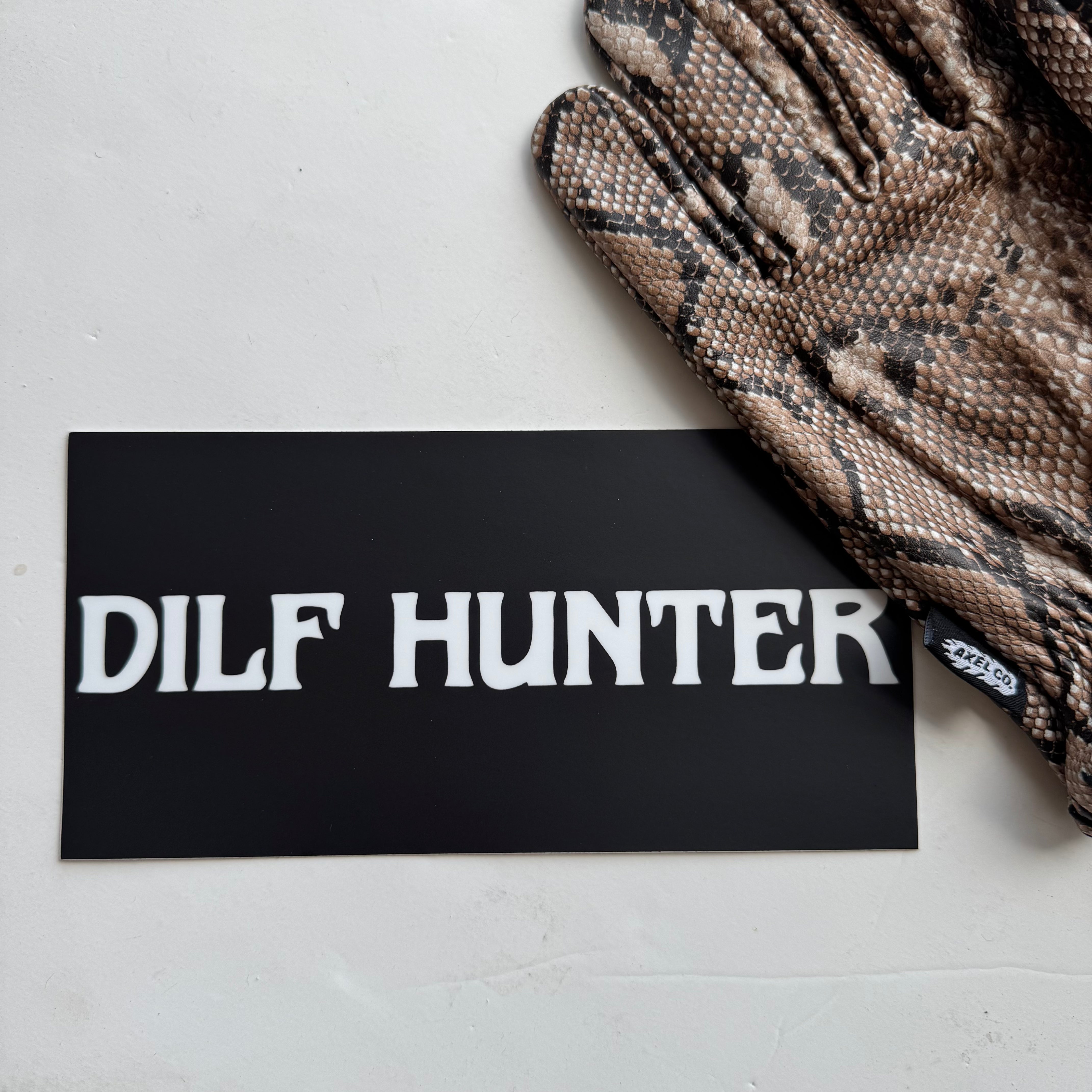 Bumper Sticker: DILF HUNTER
