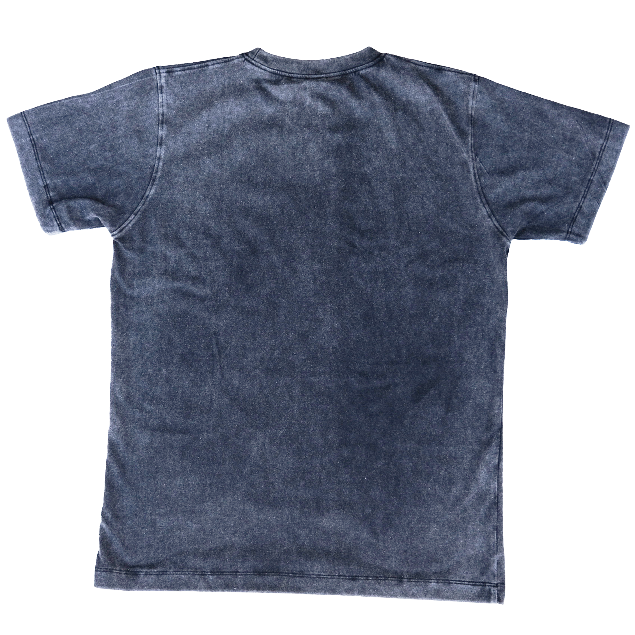 "I'd Rather Push My Sportster" Black Tee