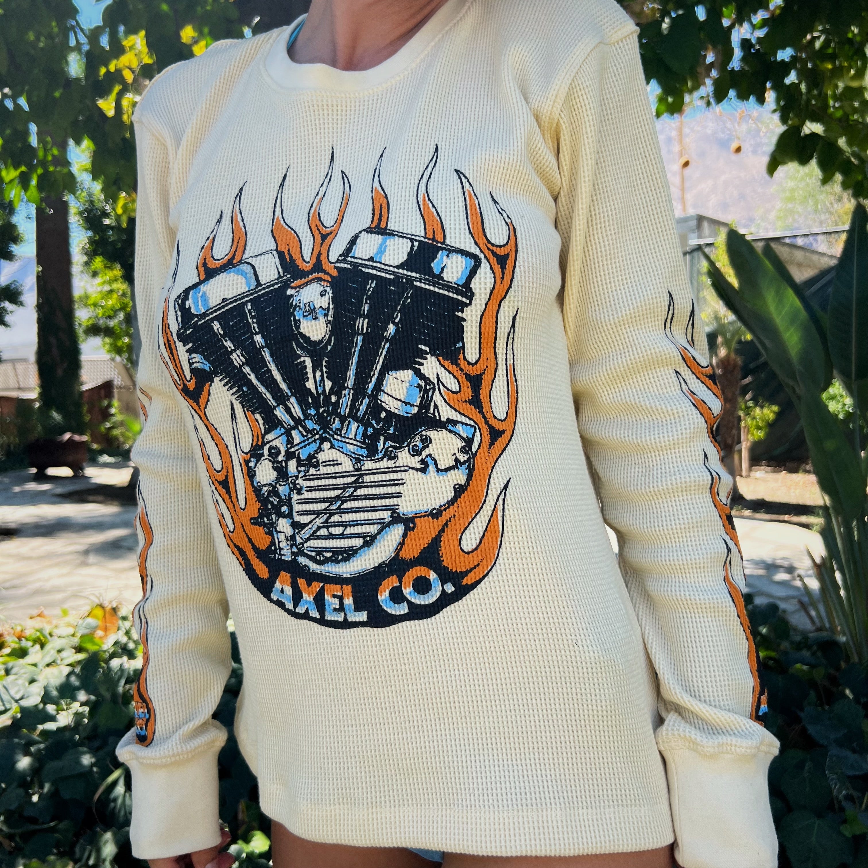 PANHEAD MOTORCYCLE THERMAL